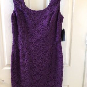 NWT. Aqua Deep Purple Lace Dress